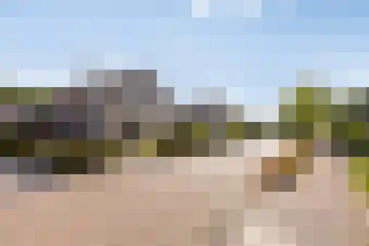 De Hoorns 9 Rolde thumbnail 39