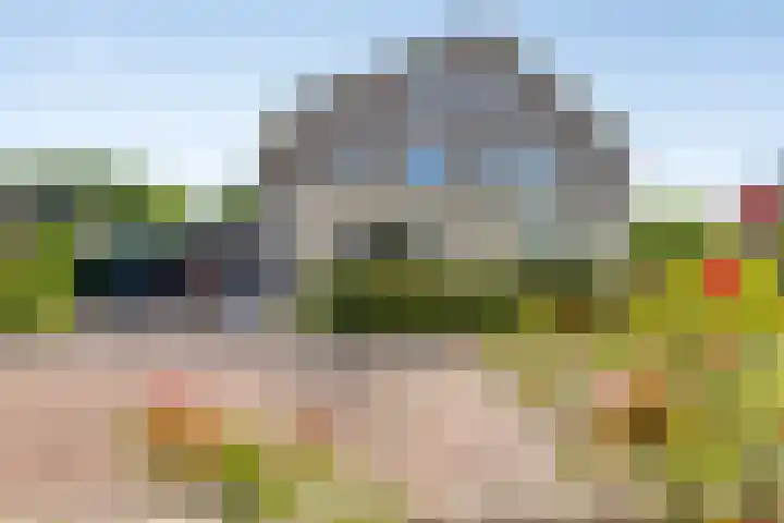 De Hoorns 9 Rolde thumbnail 4