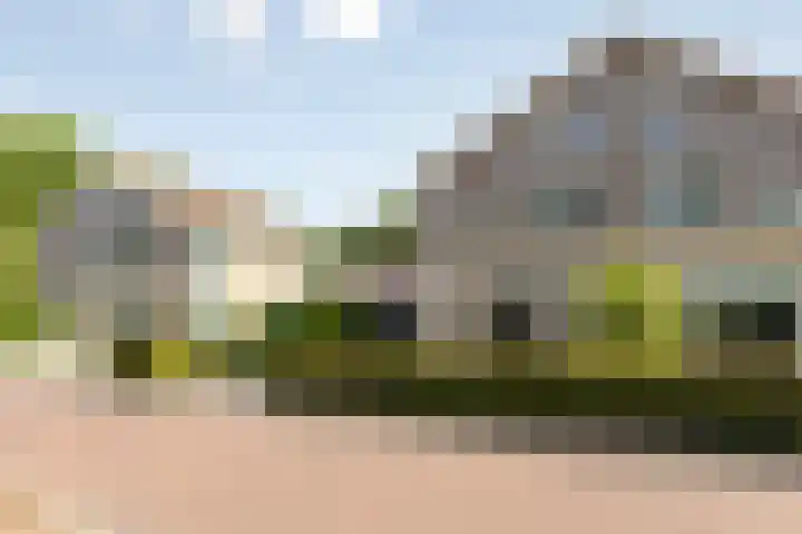 De Hoorns 9 Rolde thumbnail 40