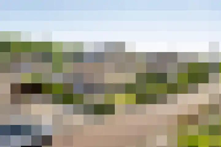 De Hoorns 9 Rolde thumbnail 41