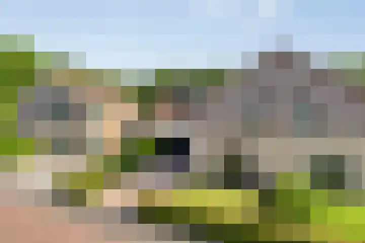 De Hoorns 9 Rolde thumbnail 42