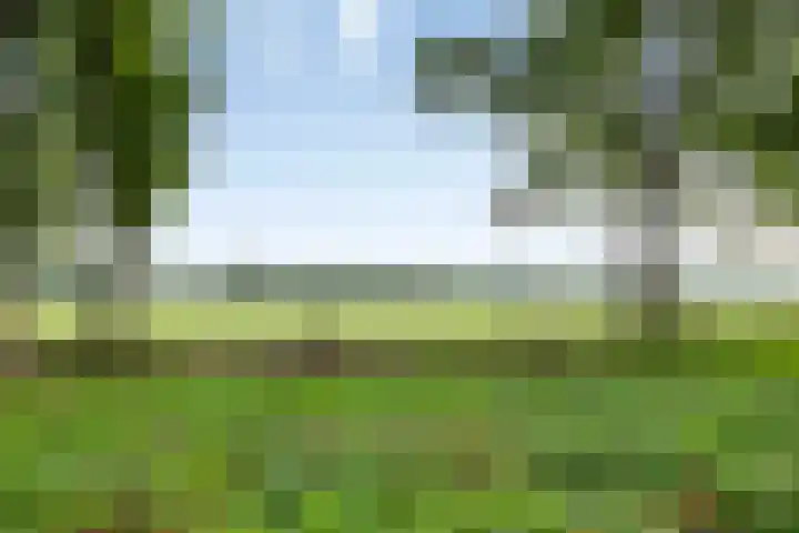 De Hoorns 9 Rolde thumbnail 43