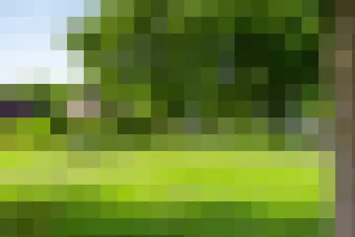 De Hoorns 9 Rolde thumbnail 44