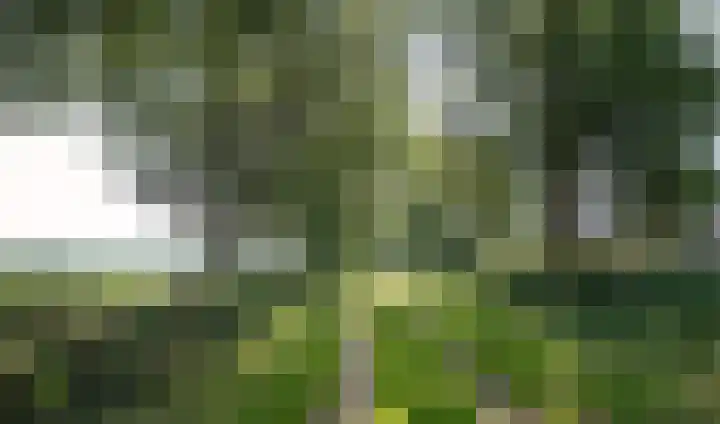 De Hoorns 9 Rolde thumbnail 45