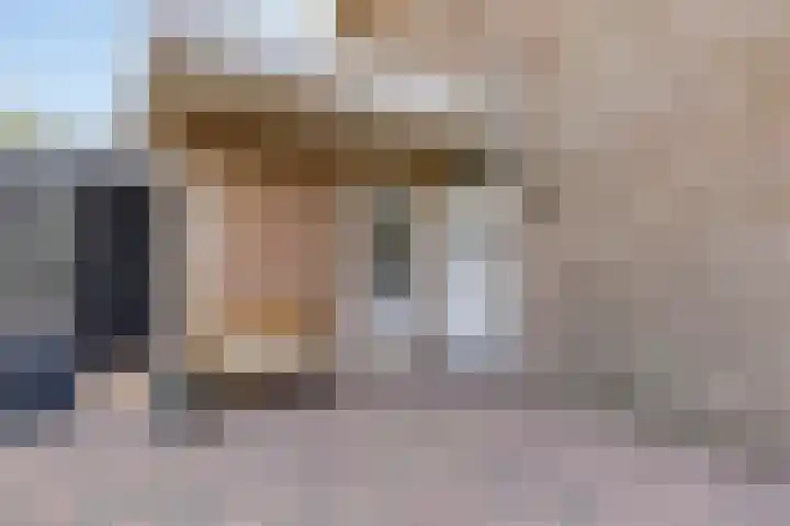 De Hoorns 9 Rolde thumbnail 6