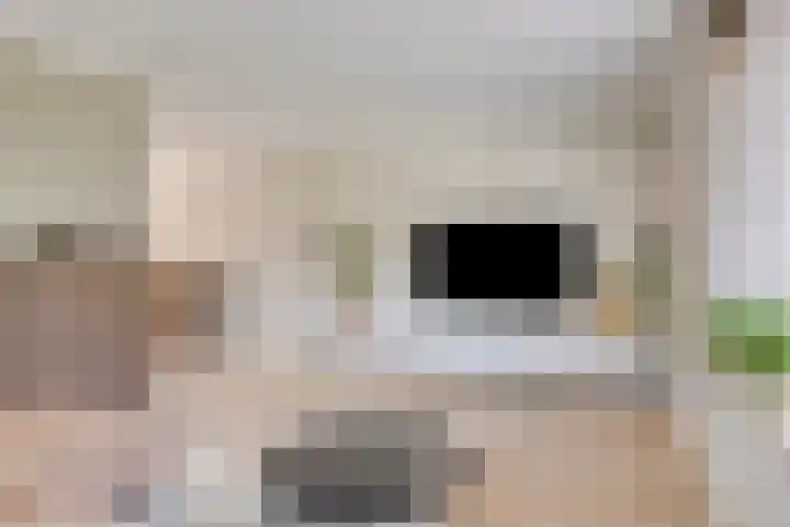 De Hoorns 9 Rolde thumbnail 9