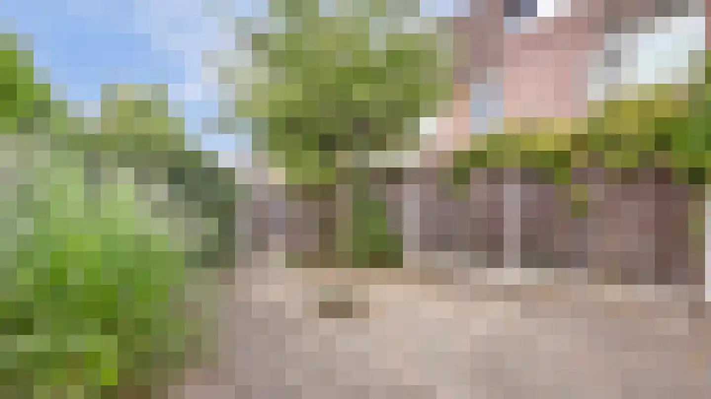 De Hop 121 Almelo thumbnail 23