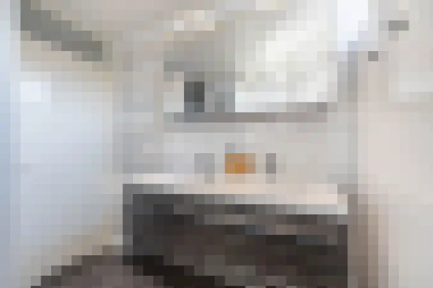 De Hop 13 Almelo thumbnail 20