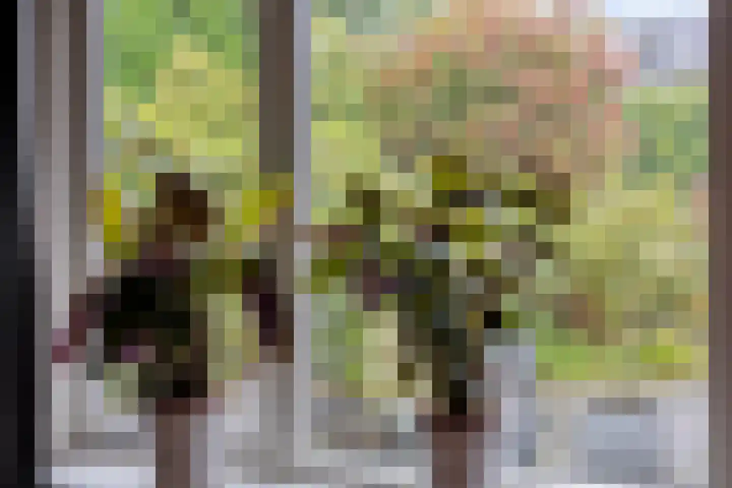 De Hop 131 Almelo thumbnail 10