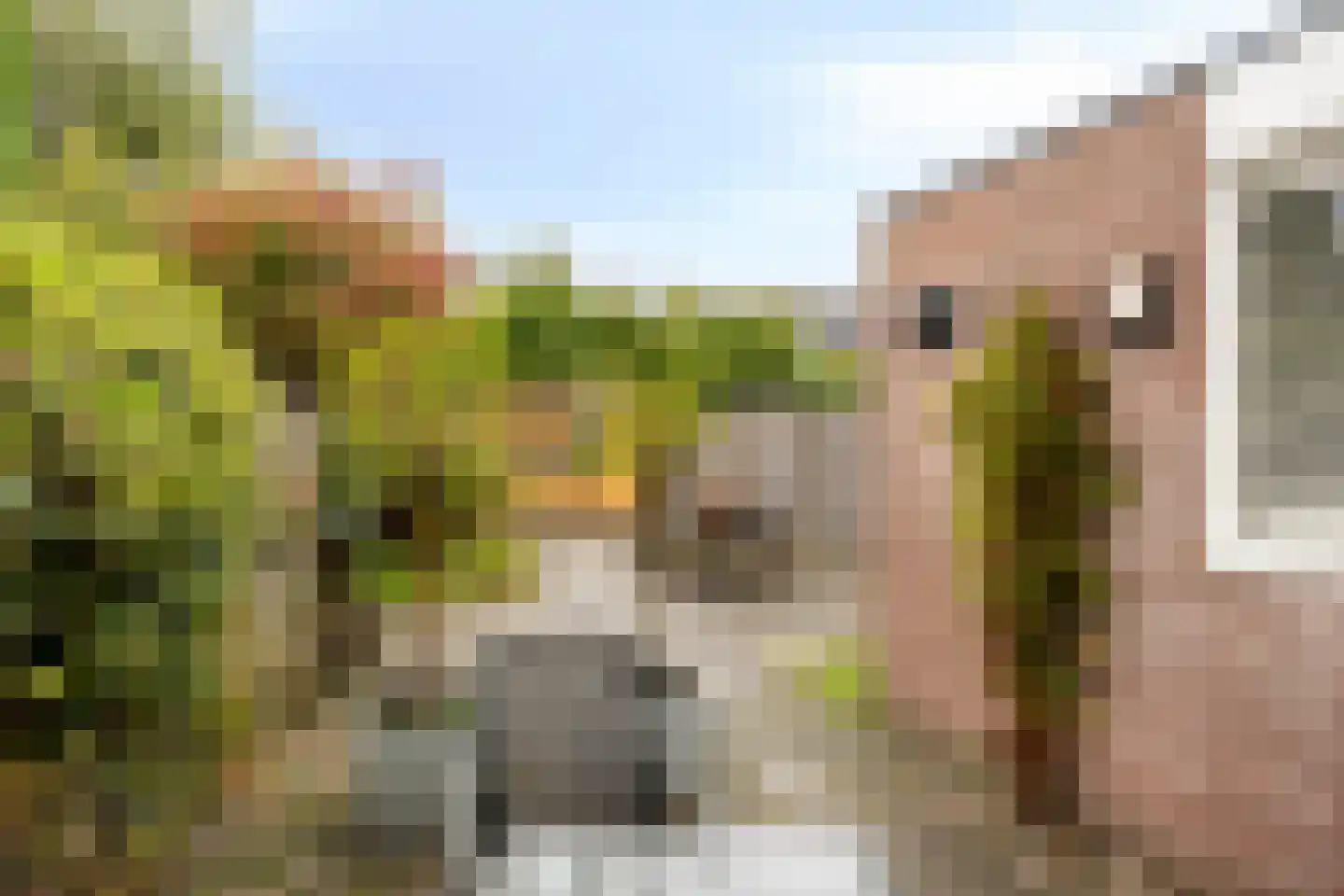 De Hop 131 Almelo thumbnail 23