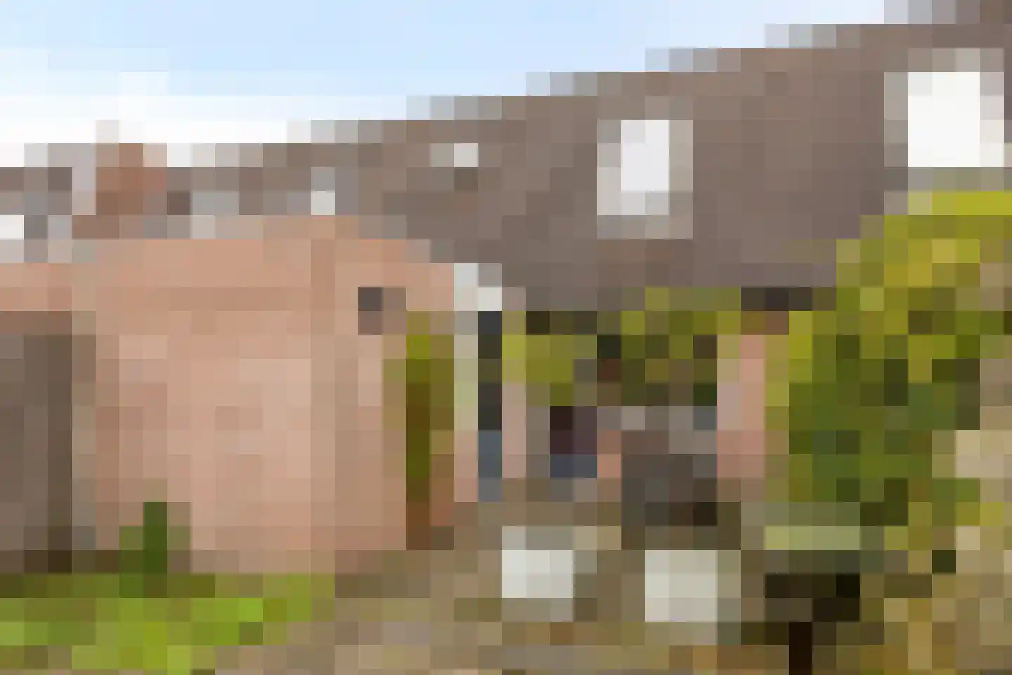 De Hop 131 Almelo thumbnail 25