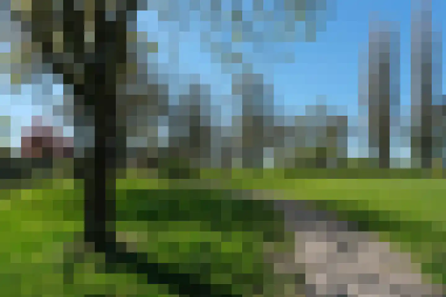 De Hop 165 Almelo thumbnail 38