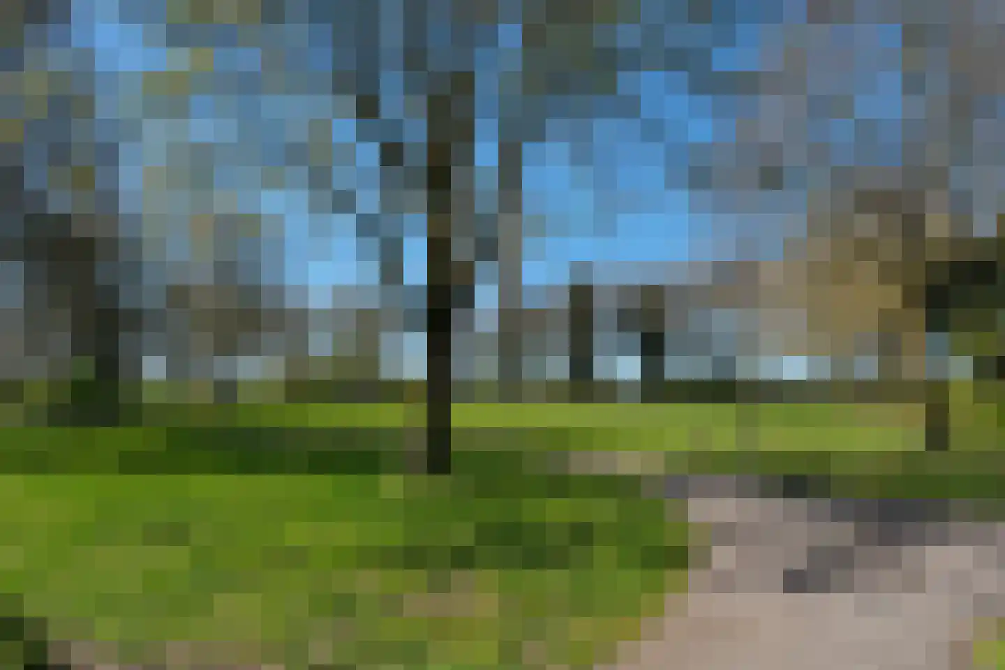 De Hop 165 Almelo thumbnail 39