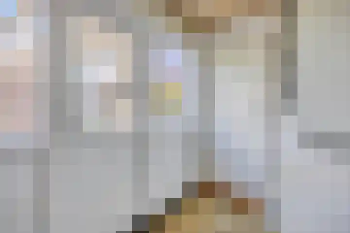 de Hop 18 Roden thumbnail 18