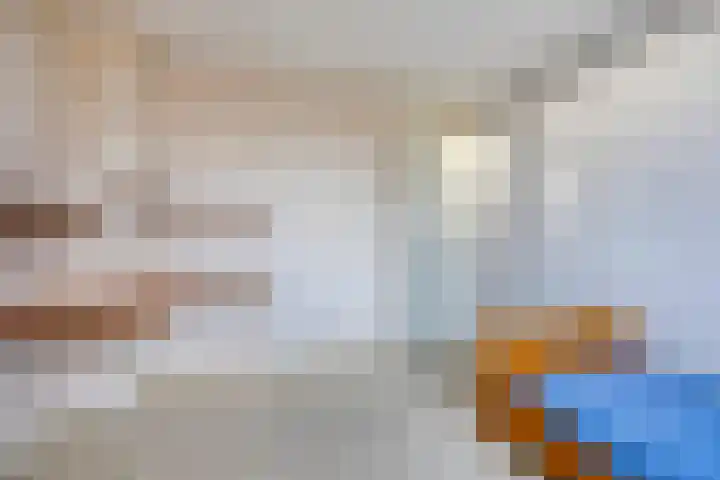 de Hop 18 Roden thumbnail 24