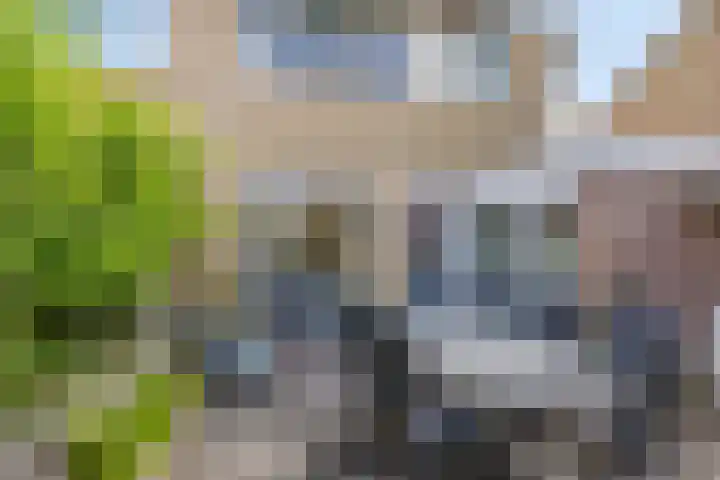de Hop 18 Roden thumbnail 33