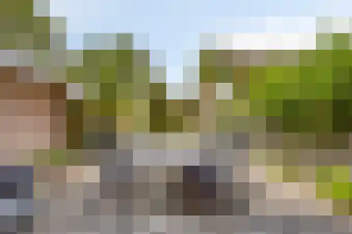 de Hop 18 Roden thumbnail 35