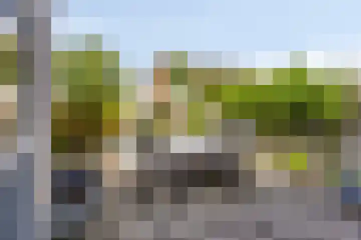 de Hop 18 Roden thumbnail 36