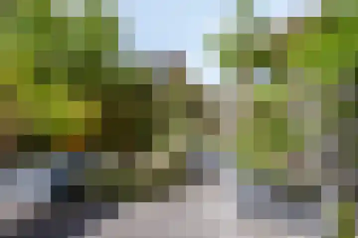 de Hop 18 Roden thumbnail 37