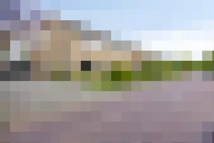de Hop 18 Roden thumbnail 39