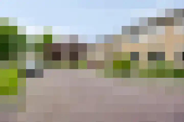 de Hop 18 Roden thumbnail 41