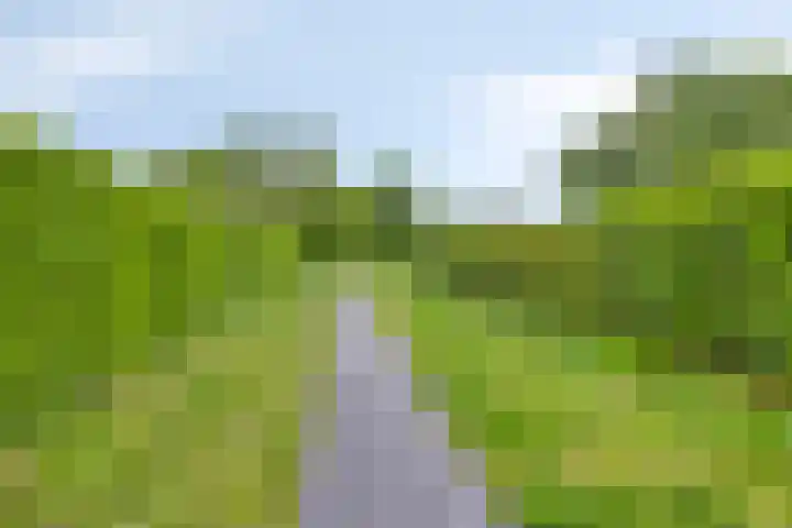 de Hop 18 Roden thumbnail 42