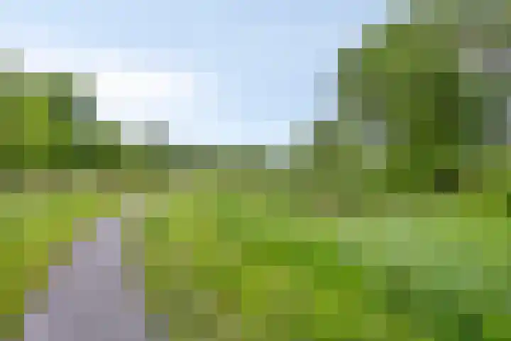 de Hop 18 Roden thumbnail 43