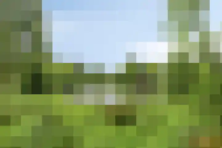 de Hop 18 Roden thumbnail 44