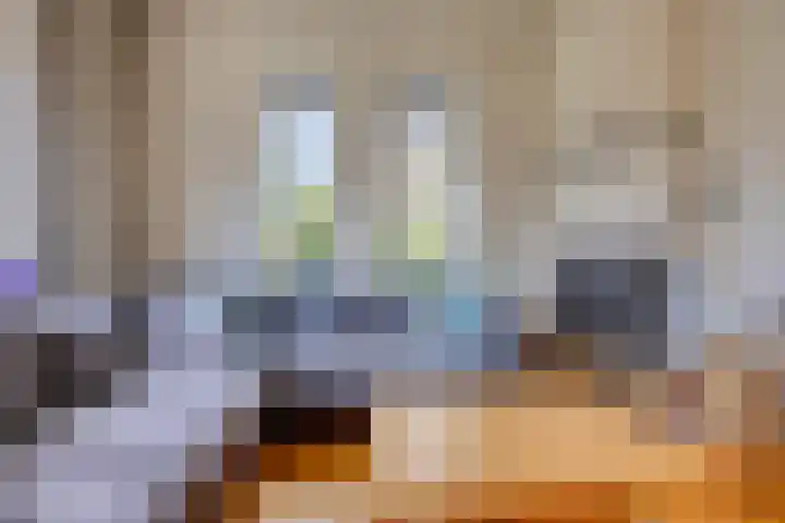 de Hop 18 Roden thumbnail 8