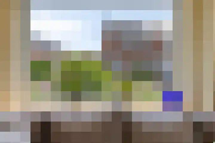 de Hop 18 Roden thumbnail 9
