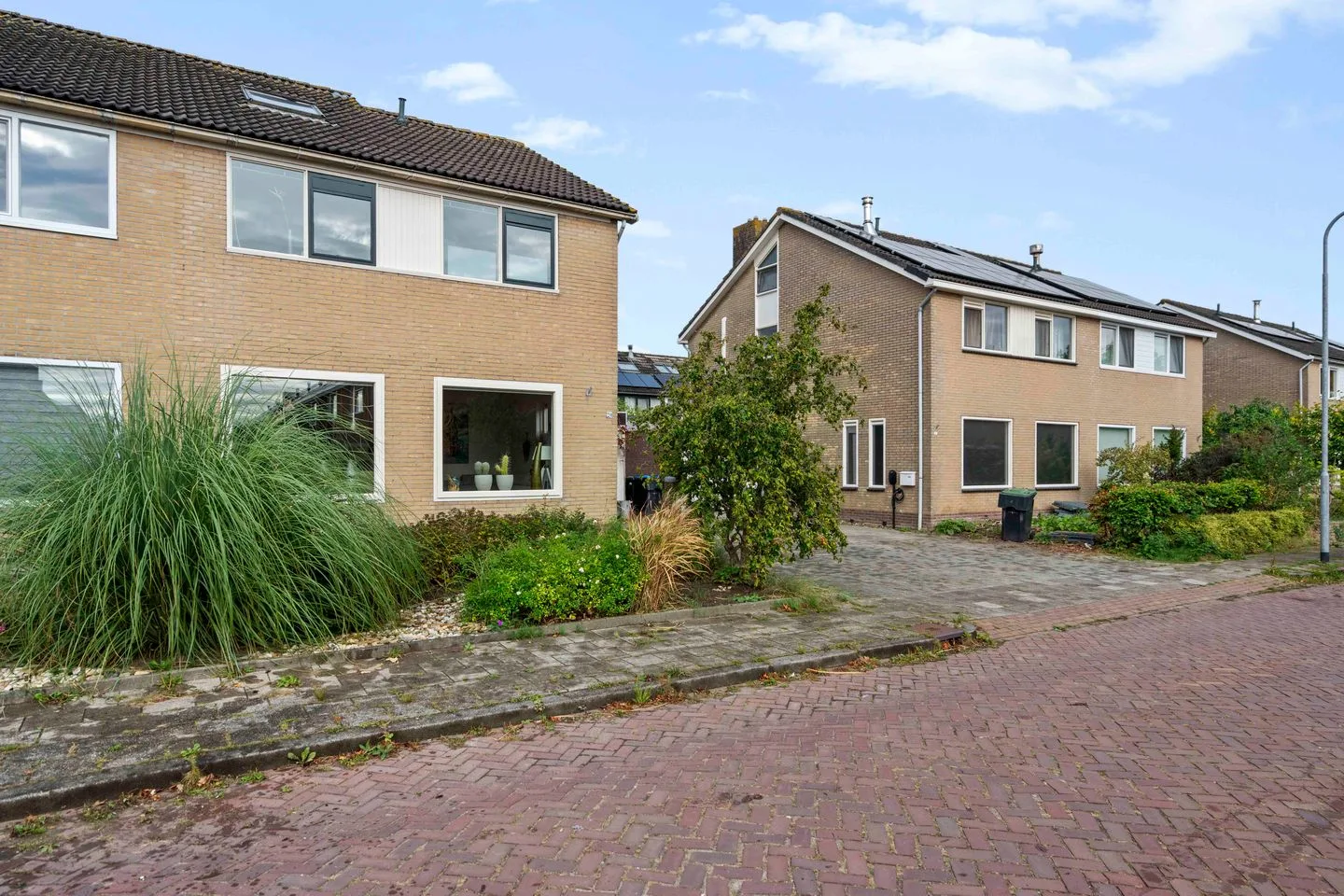 de Hop 20 Roden foto 3