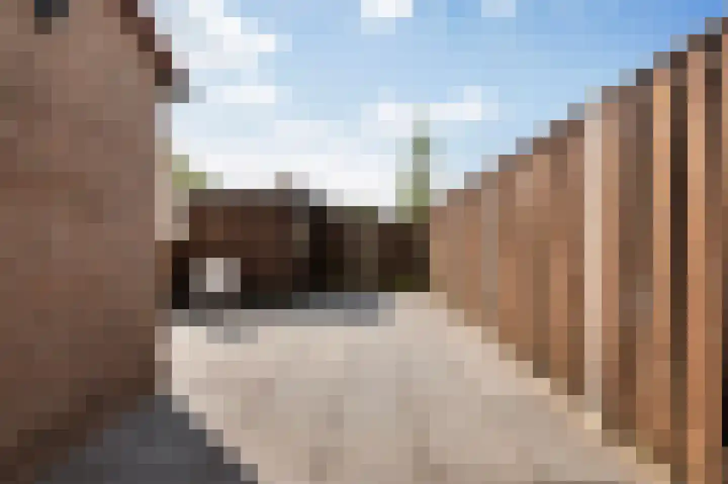 De Hop 211 Almelo thumbnail 22