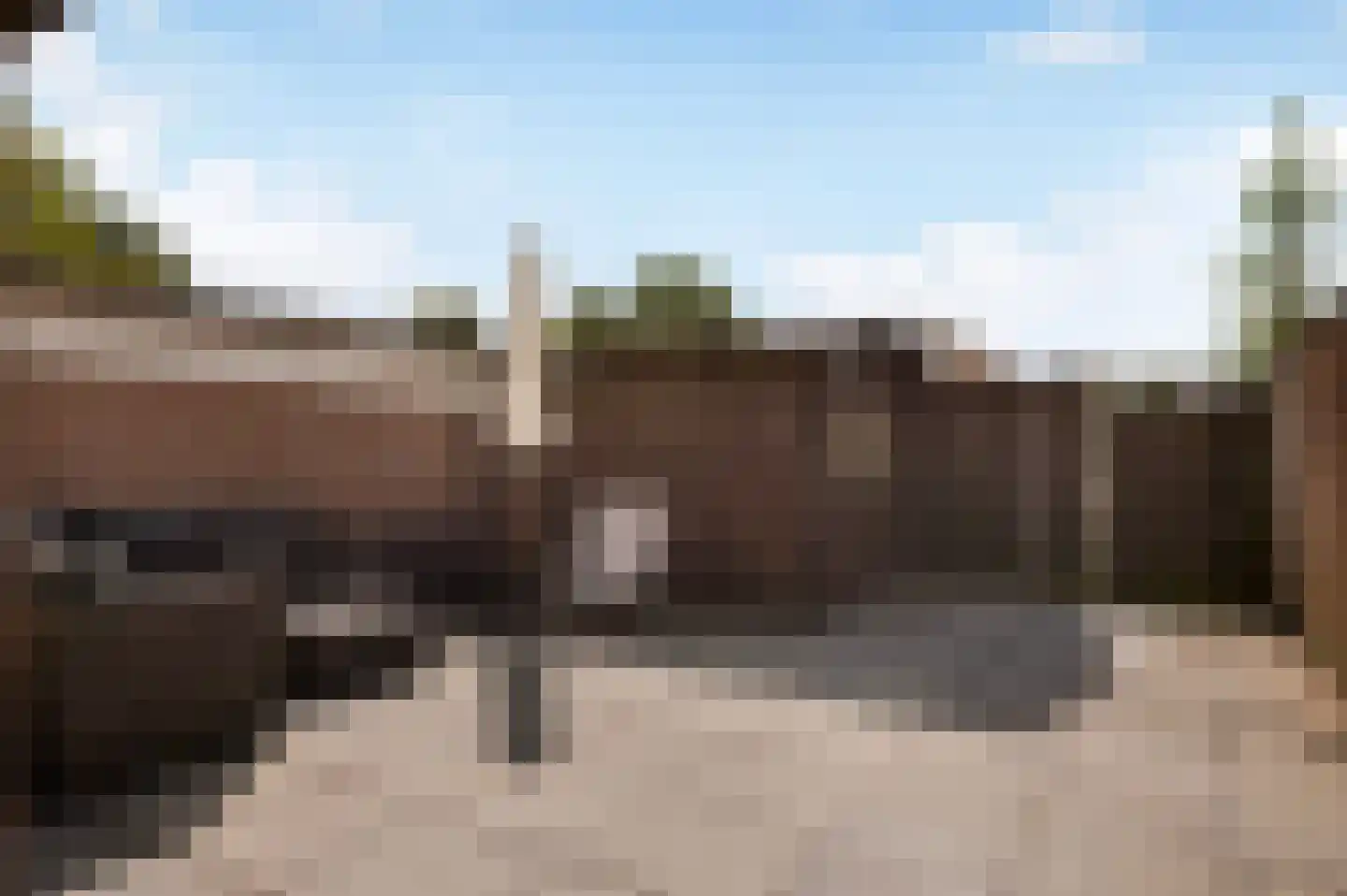 De Hop 211 Almelo thumbnail 23