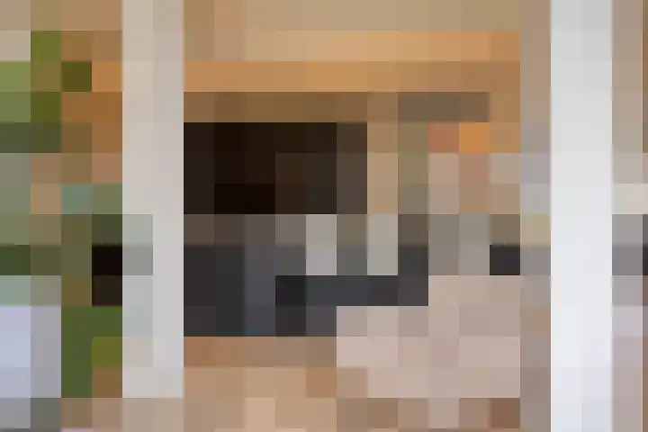de Hop 4 Roden thumbnail 14