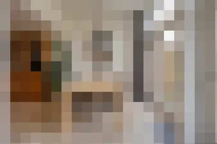 de Hop 4 Roden thumbnail 21