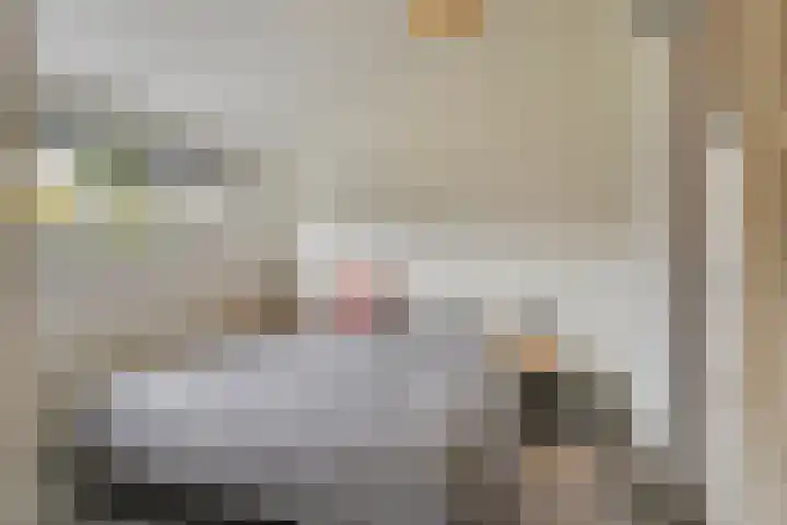 de Hop 4 Roden thumbnail 24