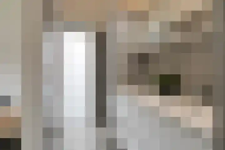de Hop 4 Roden thumbnail 27