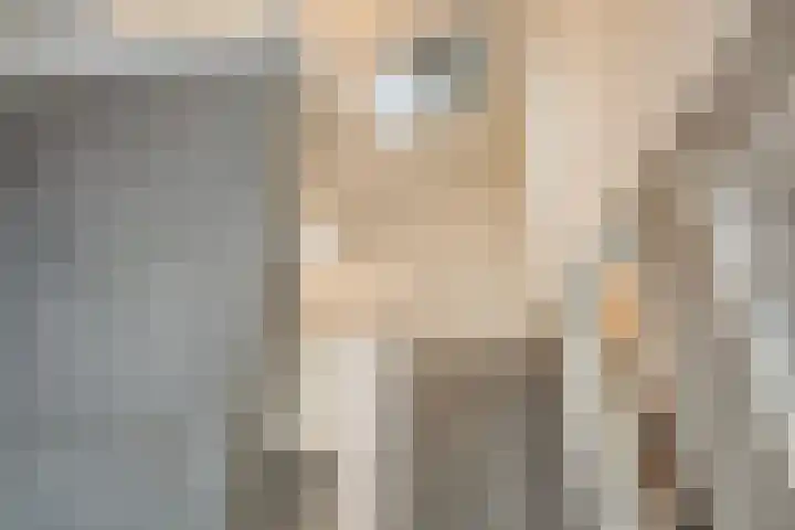de Hop 4 Roden thumbnail 28