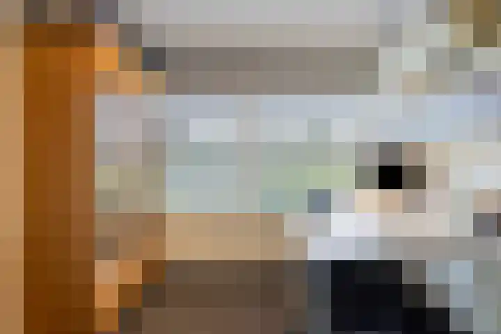 de Hop 4 Roden thumbnail 32