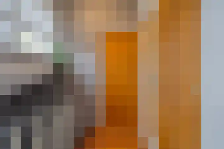 de Hop 4 Roden thumbnail 37