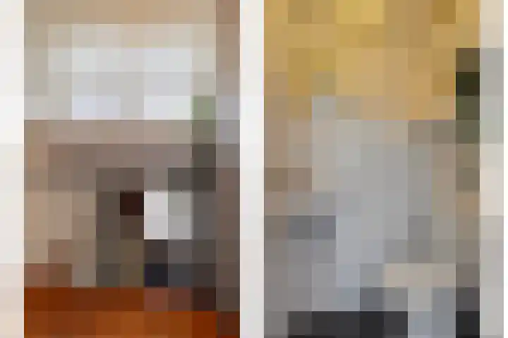 de Hop 4 Roden thumbnail 41
