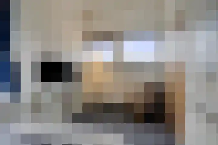 de Hop 4 Roden thumbnail 43