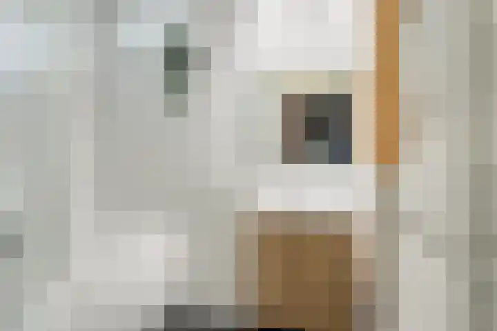 de Hop 4 Roden thumbnail 48