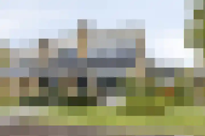 de Hop 4 Roden thumbnail 5