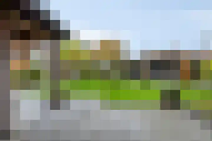 de Hop 4 Roden thumbnail 51