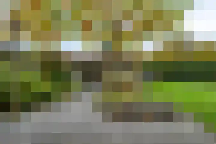 de Hop 4 Roden thumbnail 52
