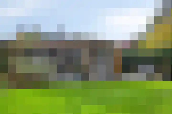 de Hop 4 Roden thumbnail 54