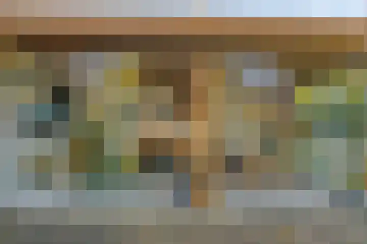 de Hop 4 Roden thumbnail 55