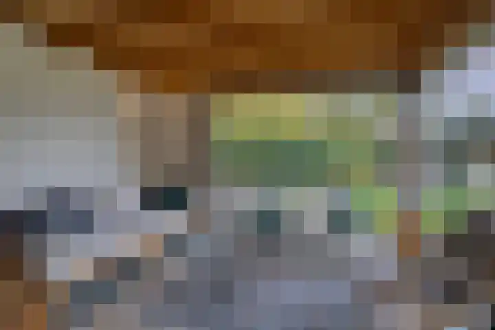de Hop 4 Roden thumbnail 56