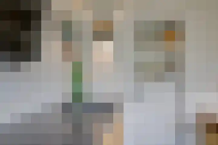 de Hop 4 Roden thumbnail 58